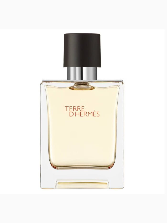 Terre Hermès Toilette - Eau de Erkek Tester Parfüm 100 ML - Görsel 2