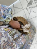 Paisley Esintisi  Elbise - Şeftali